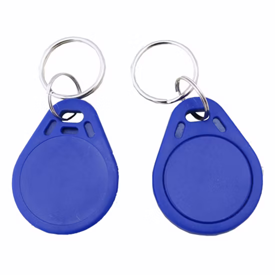 13.56MHz RFID 키체인 ISO15693 Icode Sli X ABS/PVC/에폭시 RFID 키체인