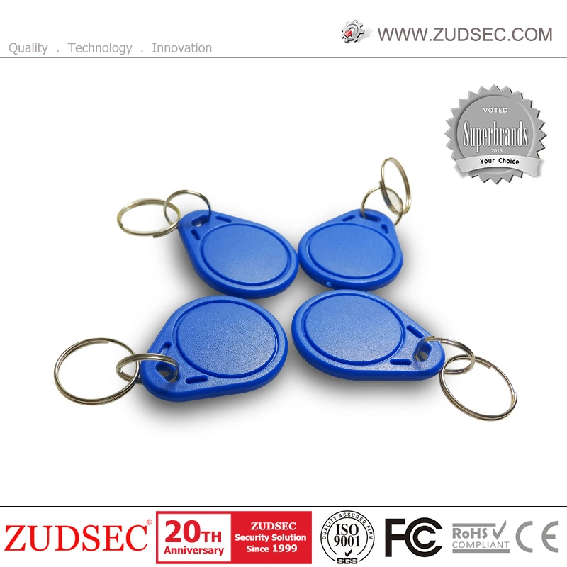 125kHz Chips ID Card RFID Tag /Key Fobs