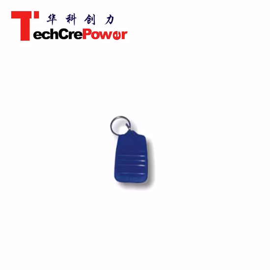 커뮤니티 관리를 위한 고품질 패시브 125KHz Em4200 Em4100 ABS 방수 빈 쓰기 가능 RFID 키체인